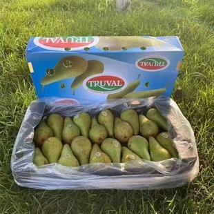 都乐比利时Truval啤梨18颗大果梨子新鲜青皮梨礼盒软硬两吃包顺丰