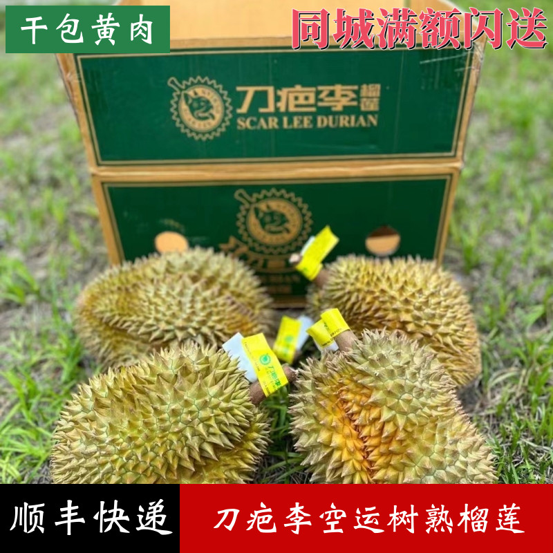 泰国进口刀疤李金枕当季榴莲树上熟整个带壳新鲜软金月预约发货