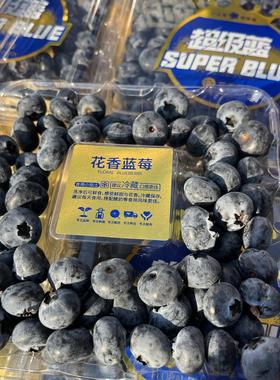 超级蓝SuperBox量贩版蓝莓4盒礼盒装云南蓝莓高原25品种