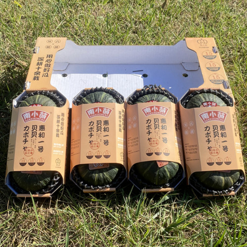 南小萌惠和一号贝贝南瓜干面甜