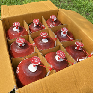 菲诺椰青 丹嫩莎朵易开泰国椰子椰皇无添加清甜多汁顺丰快递