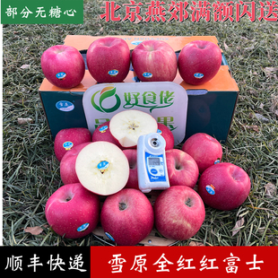 静宁雪原红富士苹果精品大果全红脆甜多汁鉴赏型顺丰快递