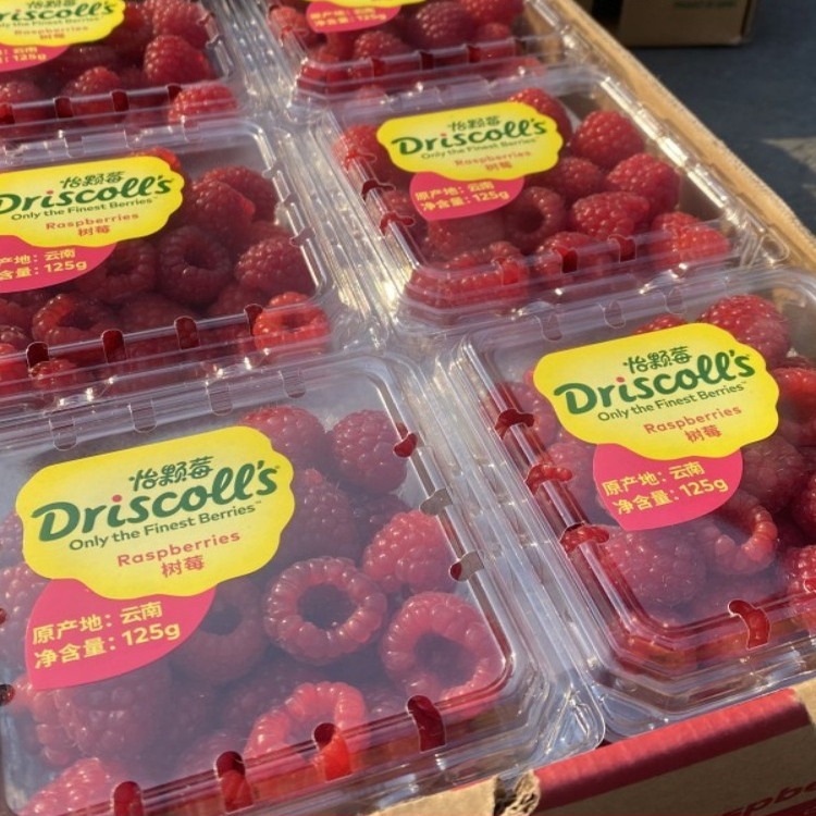 云南怡颗莓红树莓香甜