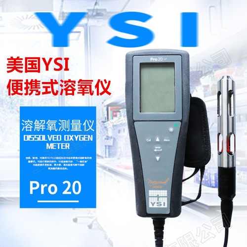 YSI维赛Pro20  便携式溶氧仪检测仪  便携式DO测定仪