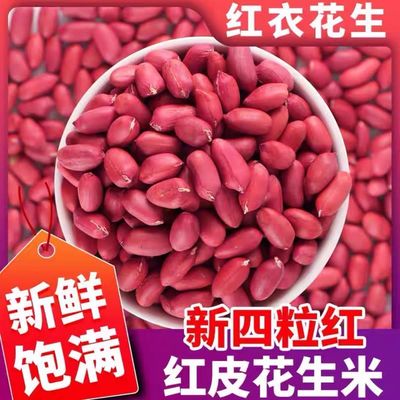 农家红皮花生米生花生