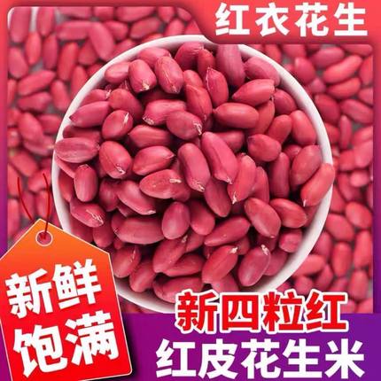 农家新鲜红皮花生米生花生新货四粒红花生米【无壳】批发6-7个筛