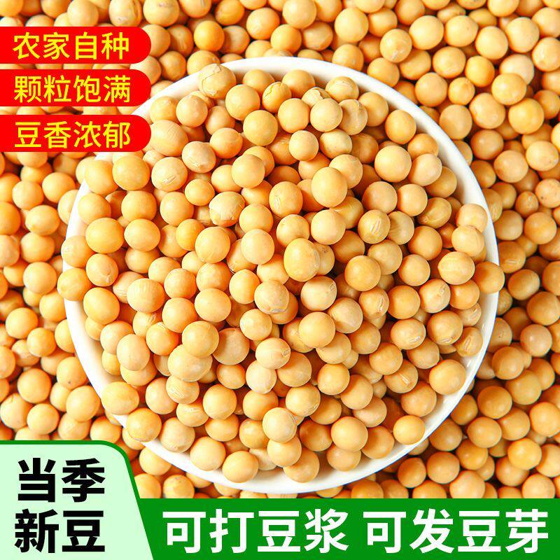 25年新豆黄豆打豆浆专用