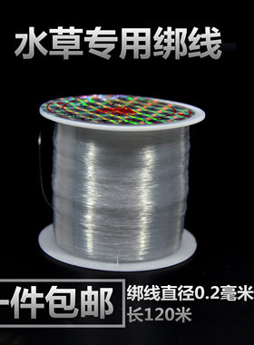 水草透明绑线杜鹃莫斯小水榕鱼线