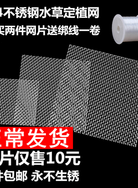 304不锈钢网片散装莫斯水草造景种子定植杯草坨火山石片鱼缸沉木