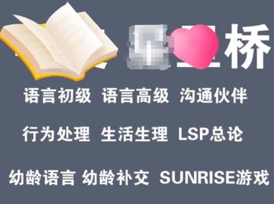 社交语言组合组自闭症孤独症康复幼龄游戏LSP电子