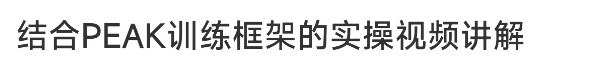 结合PEAK训练框架的实操视频康复干预训练自闭症发育迟缓孤独症