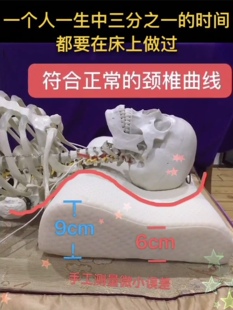 Zara乳胶太空记忆棉慢回弹护颈枕头偏远地区不 包邮