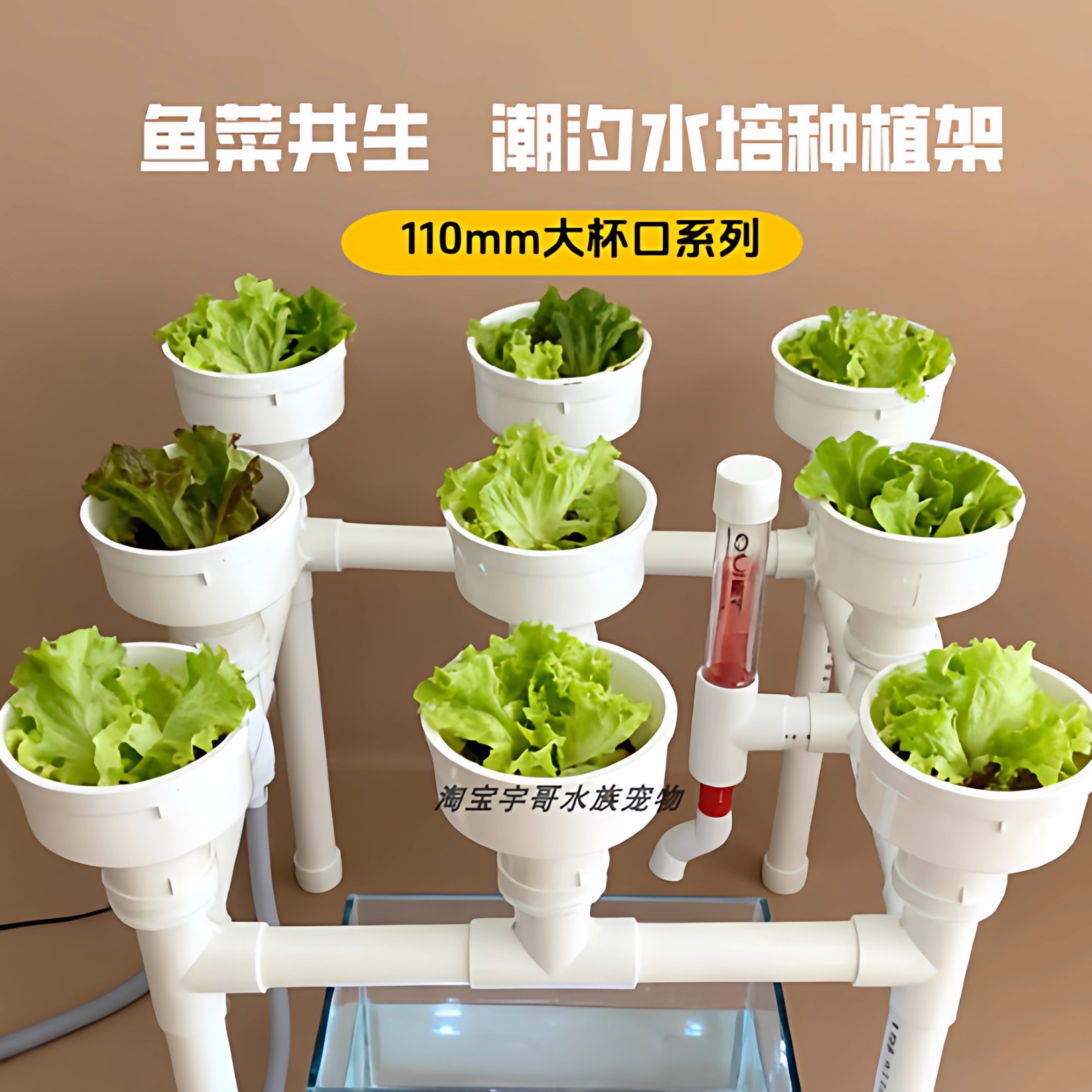 鱼菜共生潮汐种植系统