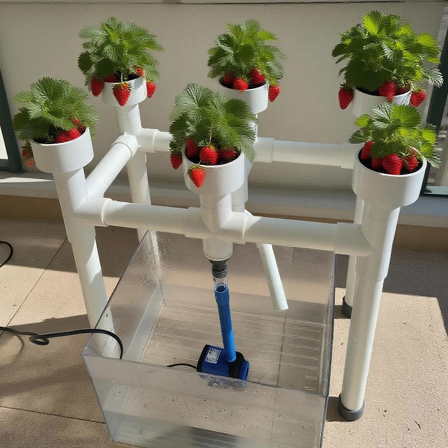 幼儿园趣味鱼菜共生水培种植架