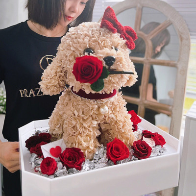 情人节告白礼物永生花比熊贵宾泰迪柯基送女友闺蜜老婆生日花束