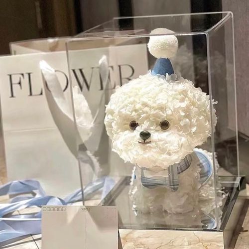 永生花马尔济斯比熊泰迪生日礼物