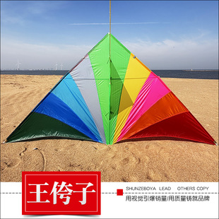 2026新款王侉子九色珍藏版544软伞布纯碳杆微风大型三角长尾风筝