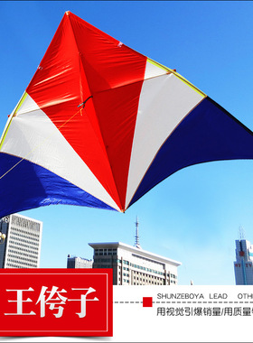 2021新品潍坊王侉子544软伞布碳杆微风大型成人好飞长尾风筝线轮