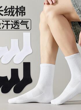 10双装男士纯棉袜子男中筒袜春夏薄款船袜懒人出差旅行学生免洗袜
