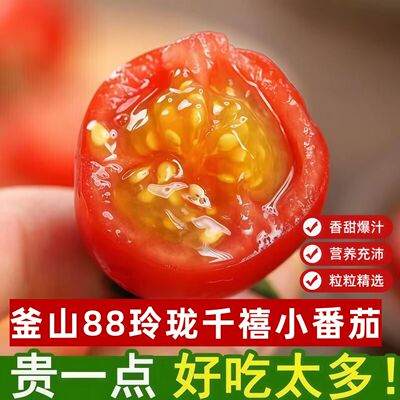 正宗釜山88玲珑千禧爆汁圣女果