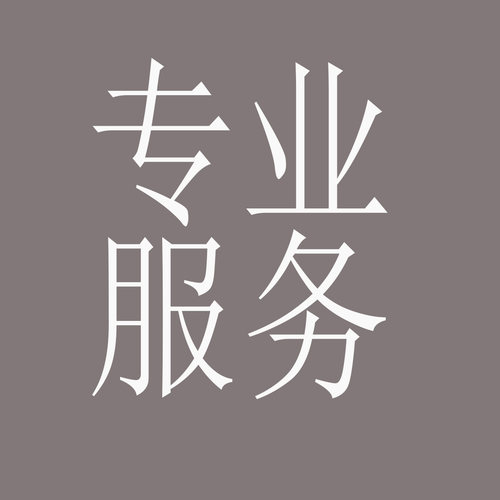 人工专业服务