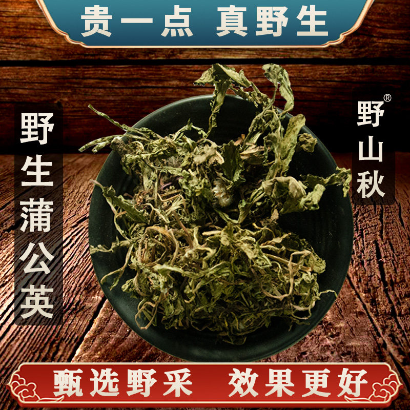 【真野生】野生蒲公英中药材正品官方旗舰店散装茶根叶结花泡水喝