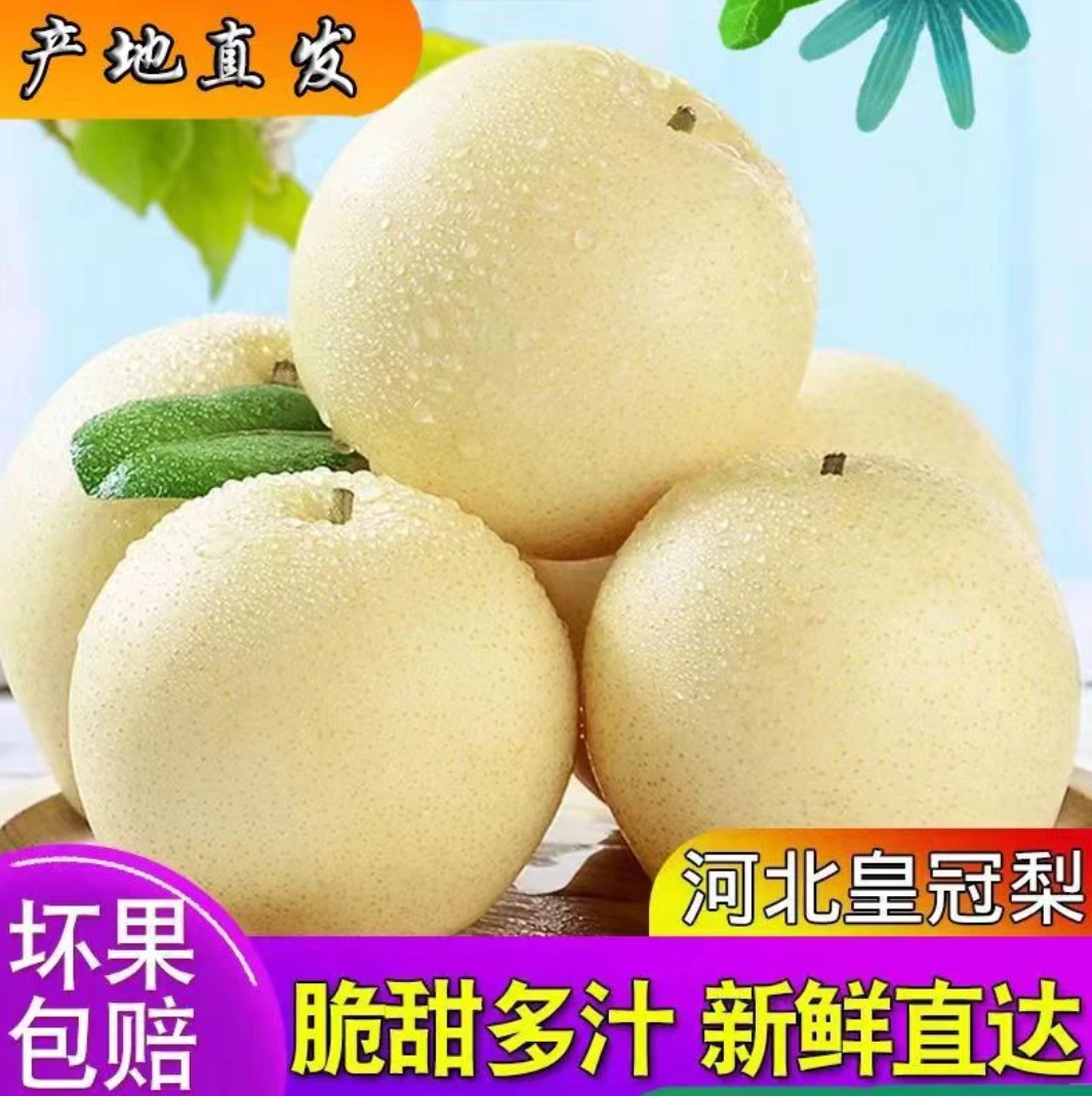 精品安徽砀山皇冠梨3/5/10斤脆甜现摘当季新鲜水果梨子整箱黄冠梨