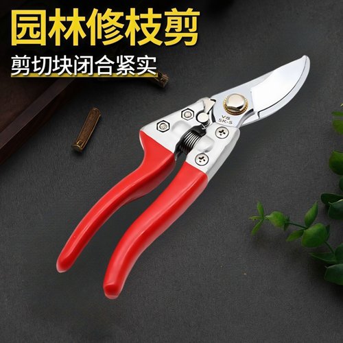 SK5刀头果树修枝剪刀果枝剪树