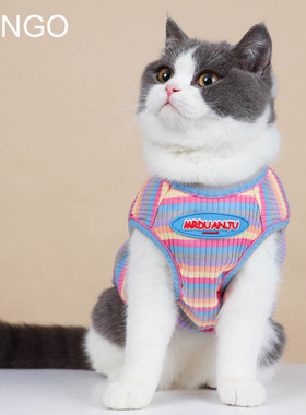 春夏季宠物猫咪衣服狗狗雪纳瑞泰迪比熊加菲防掉毛布偶金渐层背心