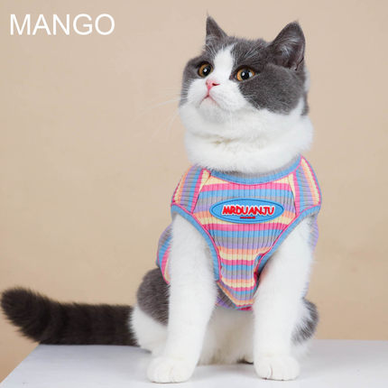 春夏季宠物猫咪衣服狗狗雪纳瑞泰迪比熊加菲防掉毛布偶金渐层背心