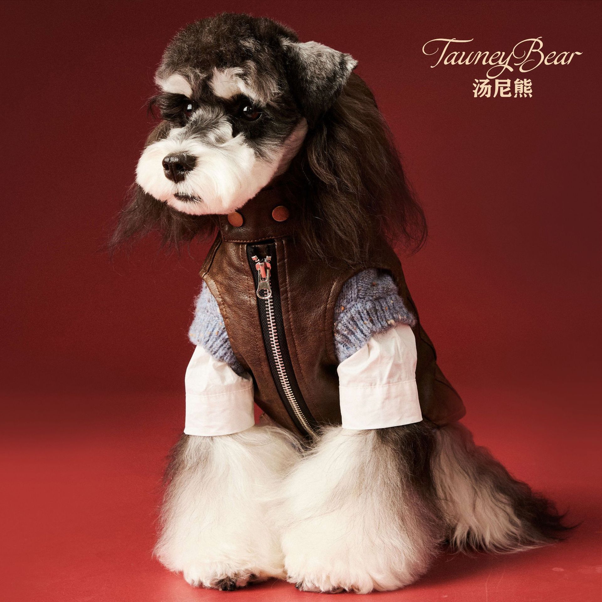 汤尼熊新款皮马甲背心雪纳瑞比熊