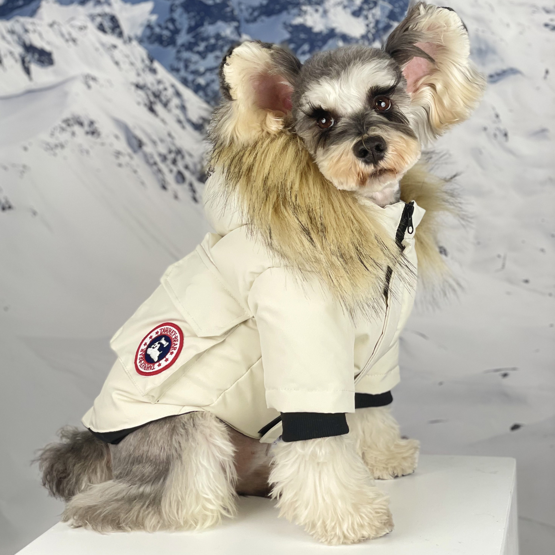 秋冬季新款潮牌小狗狗衣服羽绒服加厚保暖博美雪纳瑞泰迪比熊柴犬