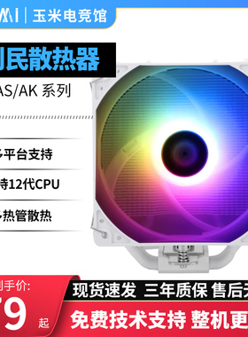 利民AK/AS/AX120 R SE白色台式机电脑ARGB风冷CPU散热器风扇4热管
