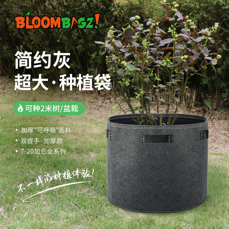 种树超大盆栽神器爬藤图片