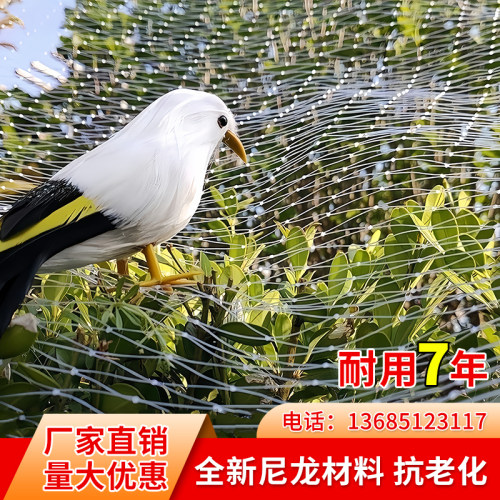 防鸟网果树果园大棚鱼塘用的天网