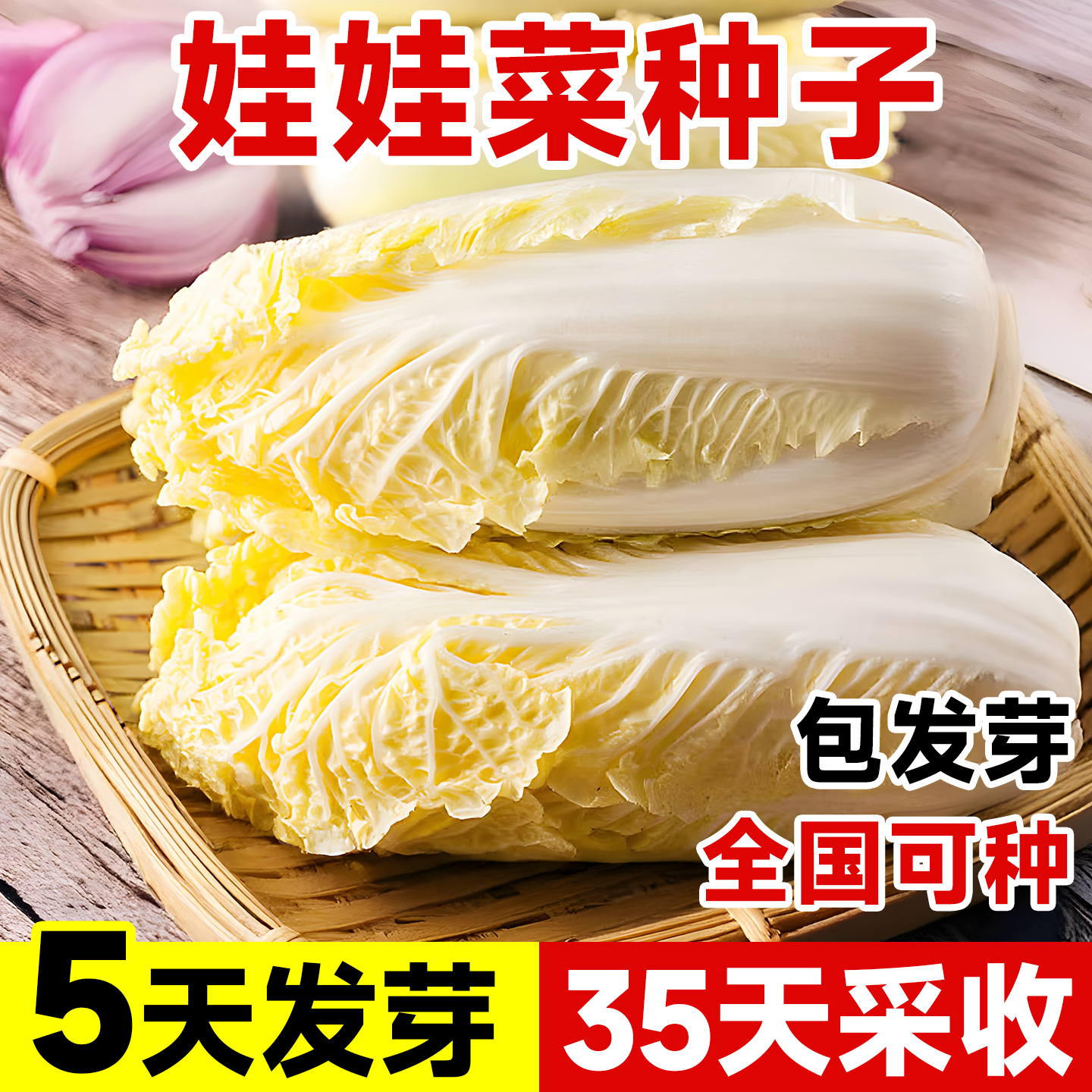 正宗娃娃菜种子老品种脆嫩可口