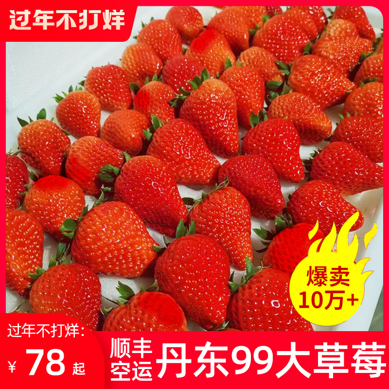 丹东99大草莓礼盒3斤红颜奶油九九新鲜当季水果牛奶现货顺丰在类目 水产肉类/新鲜蔬果/熟食, 新鲜水果, 草莓中 - 来自Buy2taobao.com提供专业的淘宝代购服务