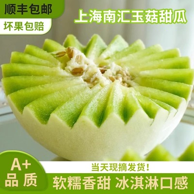 正宗上海南汇玉菇甜瓜