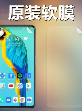 适用于荣耀20原装膜荣耀20S屏幕保护膜HONOR 20pro原机膜自带高清软膜荣耀V20出厂膜华为手机贴膜PET普通薄膜