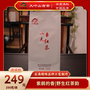 大叶山中国红茶云南滇红茶