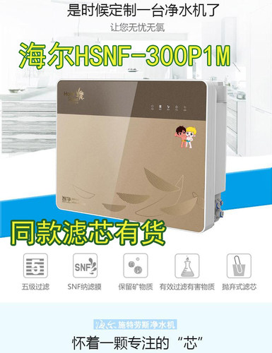 海尔施特劳斯净水器滤芯HSNF-300