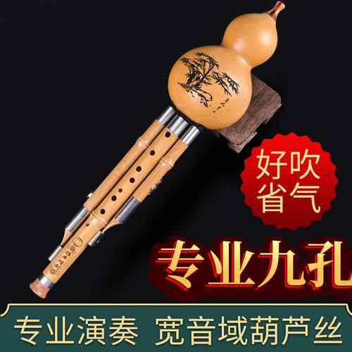 九孔葫芦丝专业演奏型