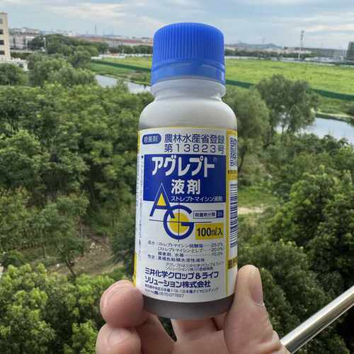 软腐多肉黑灰植物杀菌剂三井园艺