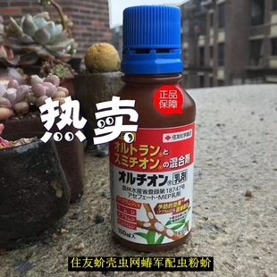 日本产住友蚧壳虫军配虫网蝽蚜虫粉蚧兑水喷多肉花卉盆景果树绿植