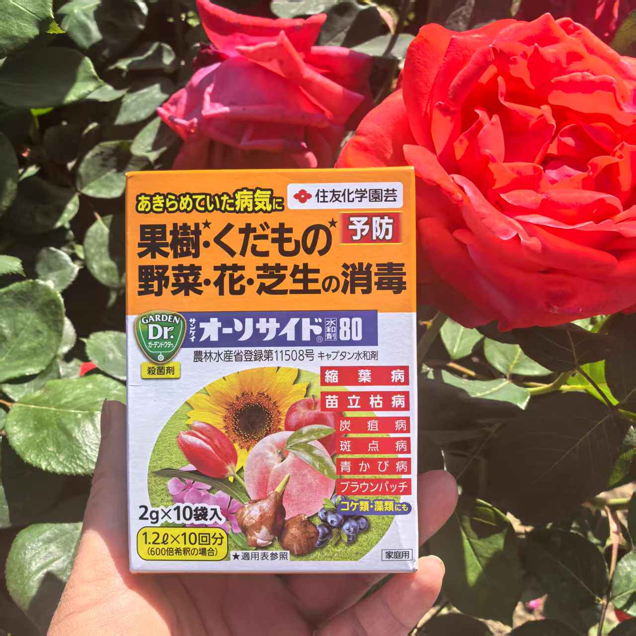 日本住友园艺花草水果蔬菜草坪黑斑灰霉黑点炭疽褐斑锈病克菌丹
