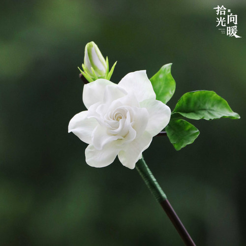 原创设计手工黏土冷瓷土发簪发梳
