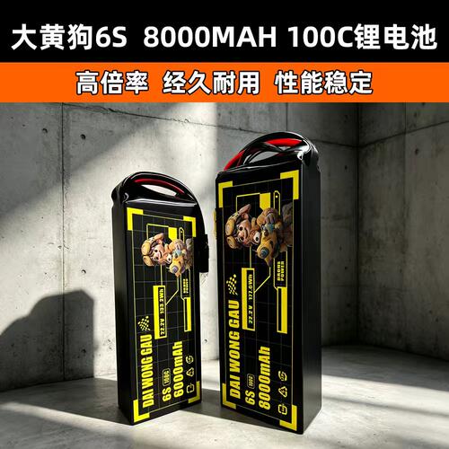 大黄狗电池6s8000mah100C
