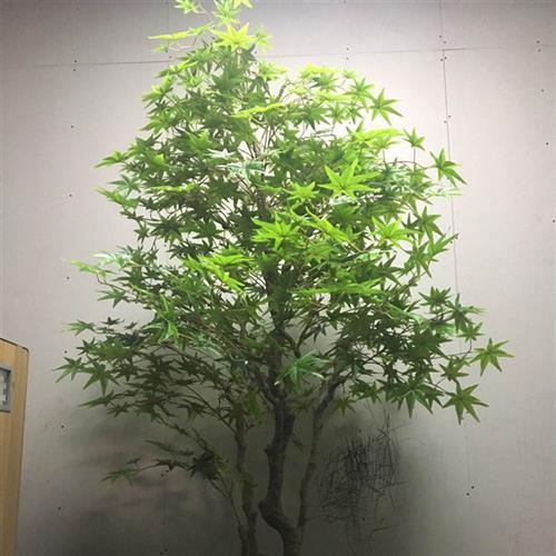枫树假树盆栽客厅落地装饰植物树园林庭院摆件树绿植