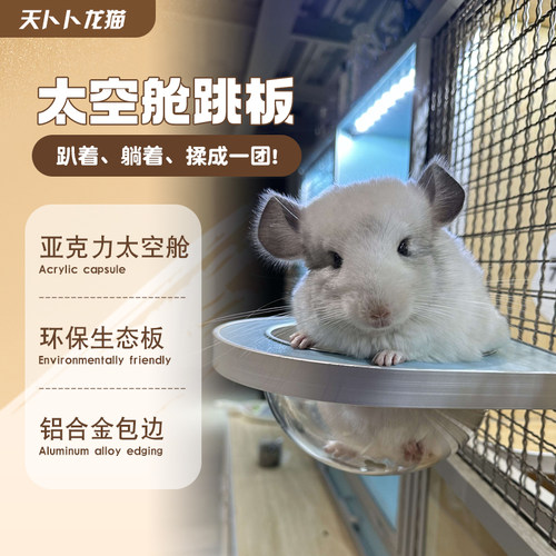 龙猫玩具透明半球跳板纳凉小窝