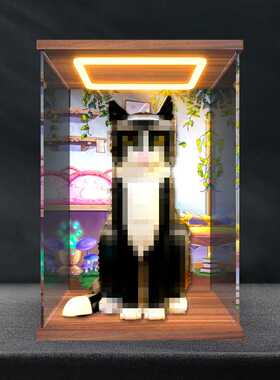 适用IDEAS系列21349燕尾服猫模型拼装积木回型灯亚克力高清收纳盒